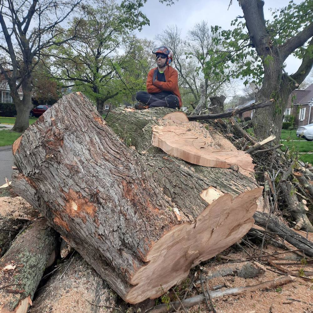 Meet your Posher, Collin